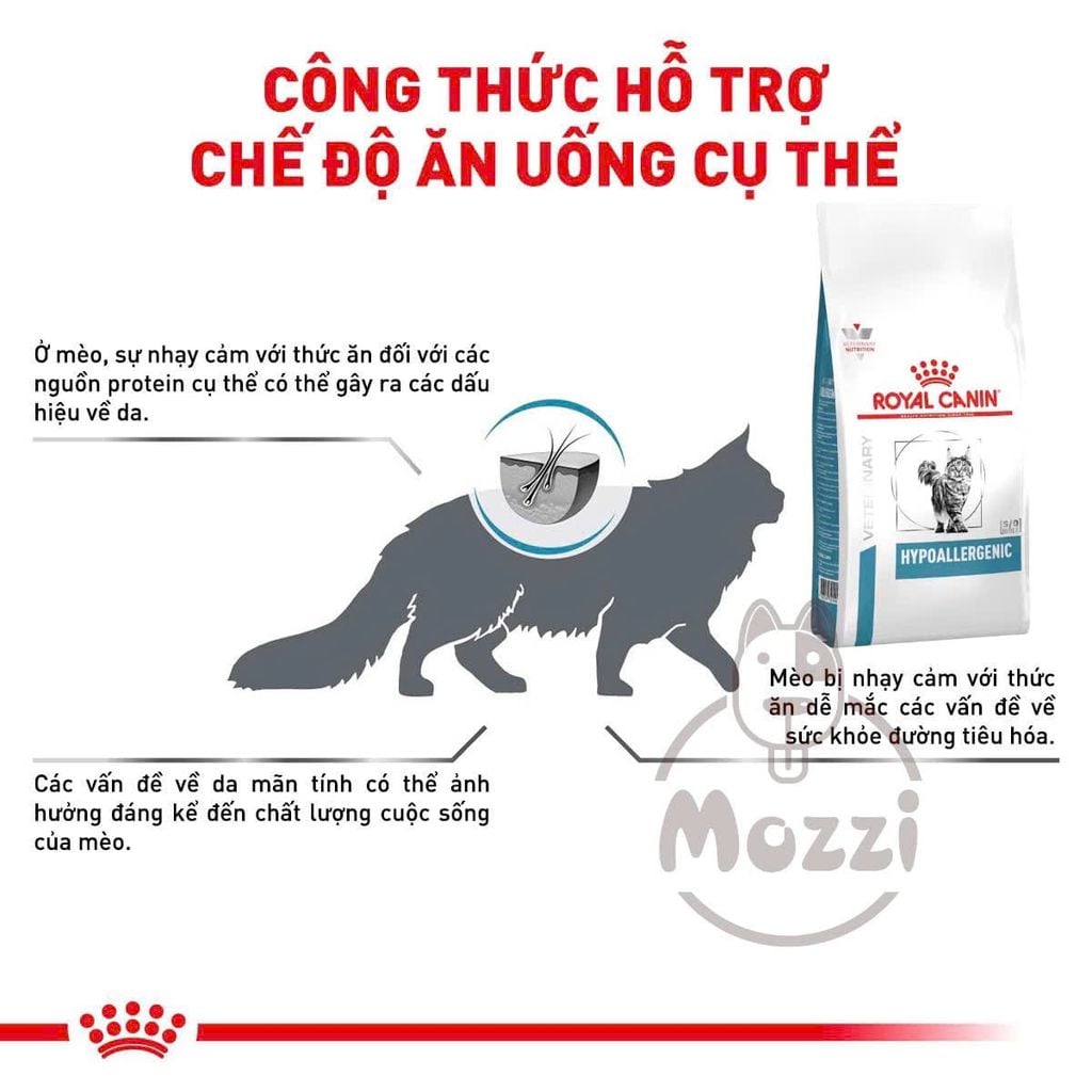 [2.5kg] Thức ăn hạt Royal Canin Hypoallergenic cho mèo bị dị ứng