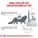  [2.5kg] Thức ăn hạt Royal Canin Hypoallergenic cho mèo bị dị ứng 