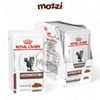 Pate cho mèo Royal Canin Gastro Intestinal gói 85gr