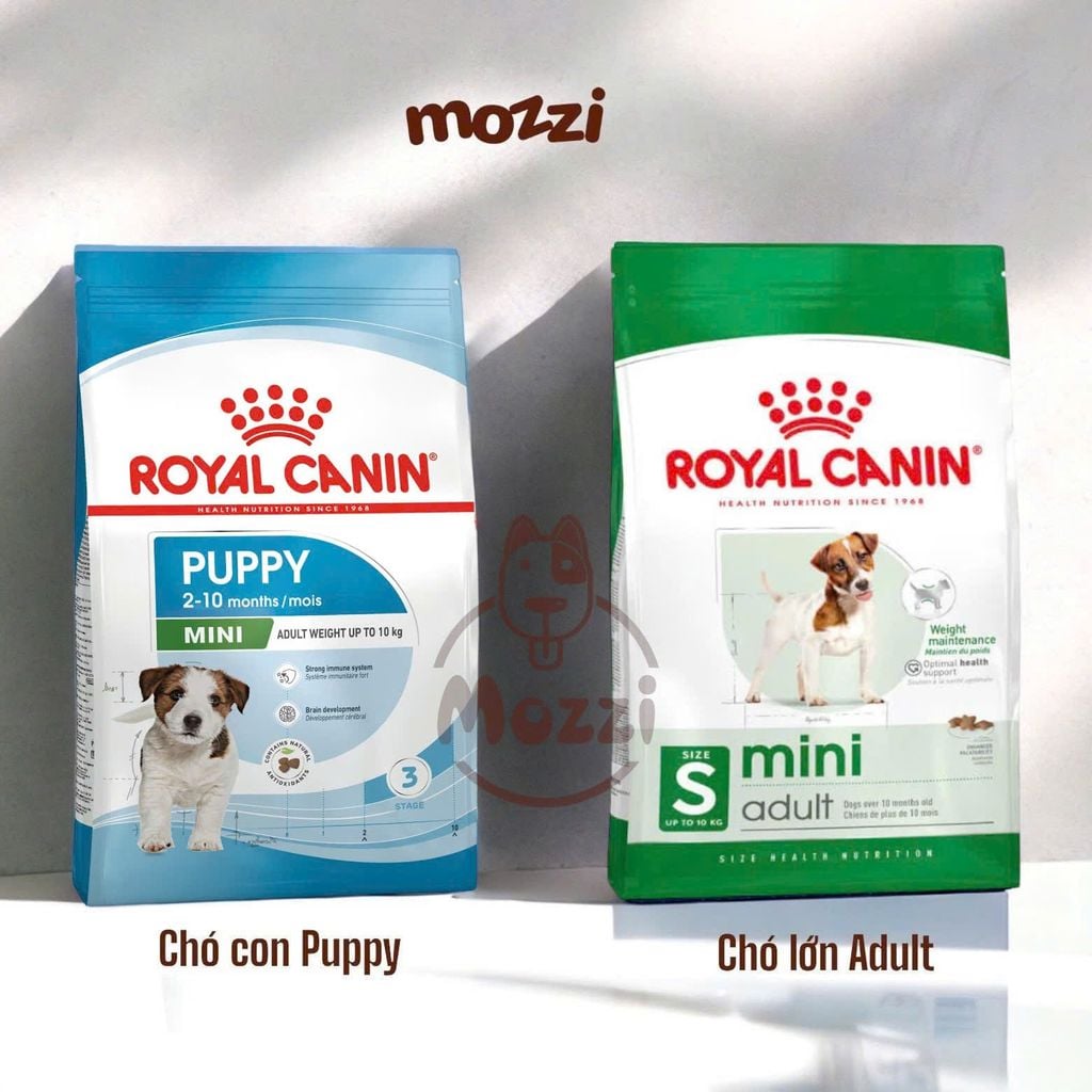 Thức ăn hạt Royal canin Mini Puppy Adult cho chó kích thước nhỏ [800g - 2kg - 8kg - 15kg]