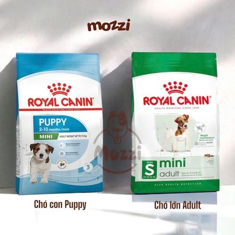  Thức ăn hạt Royal canin Mini Puppy Adult cho chó kích thước nhỏ [800g - 2kg - 8kg - 15kg] 