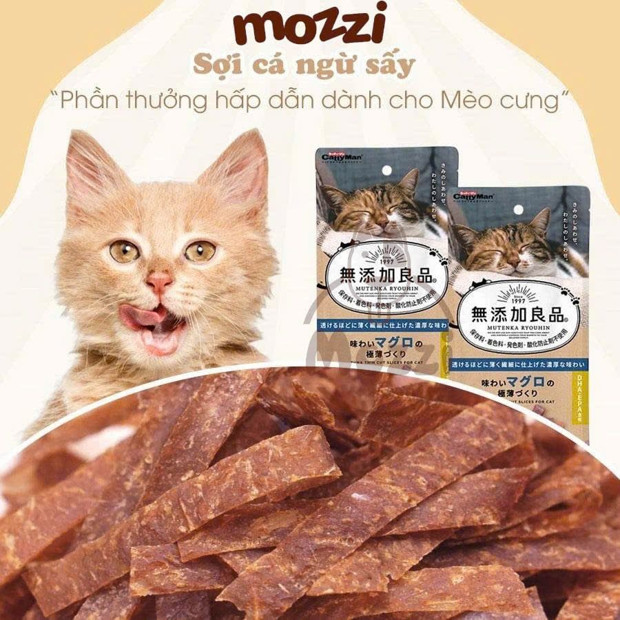 Snack cho mèo Chip Sợi gà cá CattyMan sấy mềm dẻo