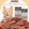 Snack cho mèo Chip Sợi gà cá CattyMan sấy mềm dẻo
