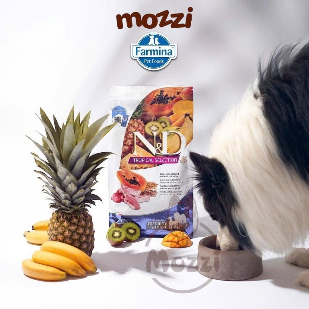 [2.5kg] Thức ăn hạt N&D Farmina Mini Puppy Adult cho chó