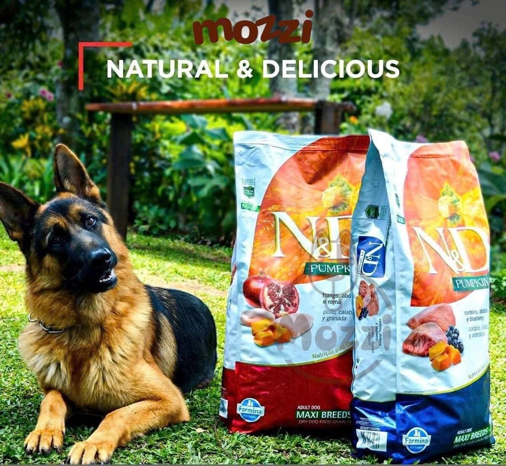 [2.5kg] Thức ăn hạt N&D Farmina Mini Puppy Adult cho chó