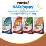  [2.5kg] Thức ăn hạt N&D Farmina Mini Puppy Adult cho chó 