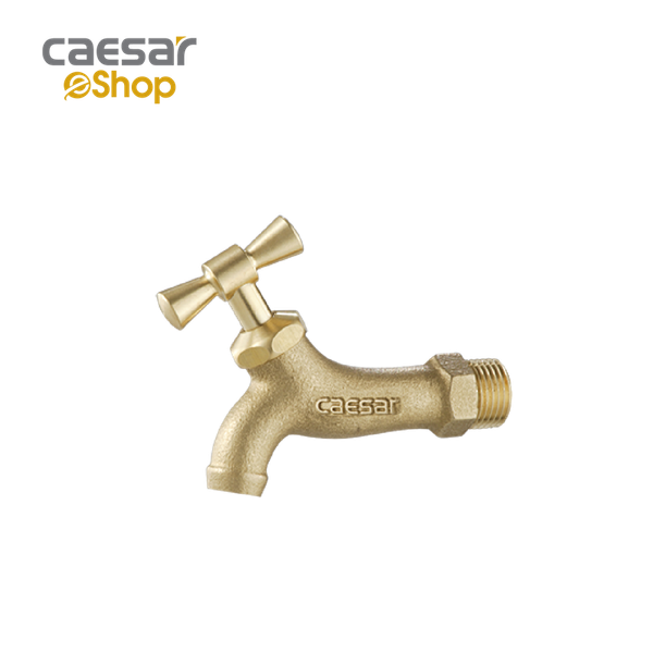  Vòi Lạnh Gắn Tường - W034 