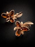  Bông tai trang sức Amber Jewelry bạc đính đá hổ phách màu cognac Cypress 16 phủ vàng - 710110039 