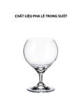  Bộ 6 Ly Cognac Pha Lê Carduelis Bohemia 350ml 