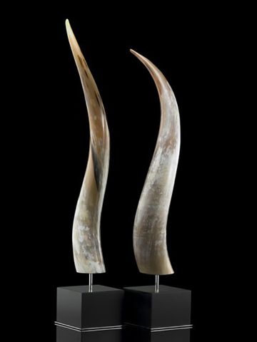 Vật trang trí bằng sừng bò Nam Phi đế gỗ màu đen ARCAHORN - 1600C