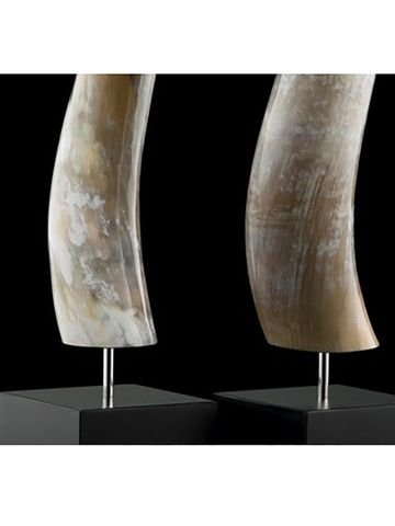 Vật trang trí bằng sừng bò Nam Phi đế gỗ màu đen ARCAHORN - 1600C