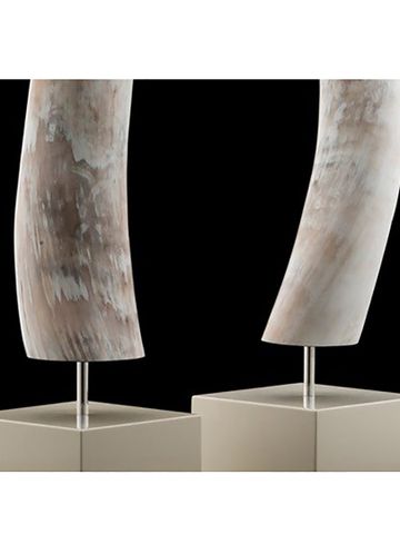 Vật trang trí bằng sừng bò Nam Phi đế gỗ màu trắng ARCAHORN 1601C