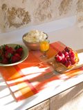  Khăn trải bàn ăn PLACEMAT GALANTE MANGO 52X38 85%COTON15%ACRYLIC - 24168 