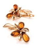  Bông tai trang sức Amber Jewelry bạc đính đá hổ phách màu cognac Cypress 16 phủ vàng - 710110039 