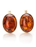  Bông tai trang sức Amber Jewelry bạc 22K đính đá hổ phách thiên nhiên màu cognac (Goji large) phủ vàng - 710111069 