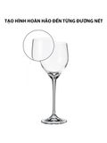  Bộ 6 ly vang trắng pha lê Sitta Bohemia 245ml 