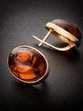  Bông tai trang sức Amber Jewelry bạc 22K đính đá hổ phách thiên nhiên màu cognac (Goji large) phủ vàng - 710111069 
