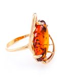  Nhẫn trang sức Amber Jewelry bạc 22K đính đá hổ phách thiên nhiên (Rosyanka 17) phủ vàng - 610008194 