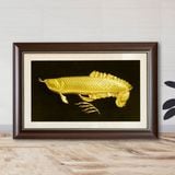 Tranh cá Rồng mạ vàng 24K