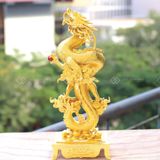 Rồng vàng Thiên Long Nhật Nguyệt