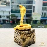 Rắn vàng Uy phong