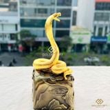 Rắn vàng Uy phong