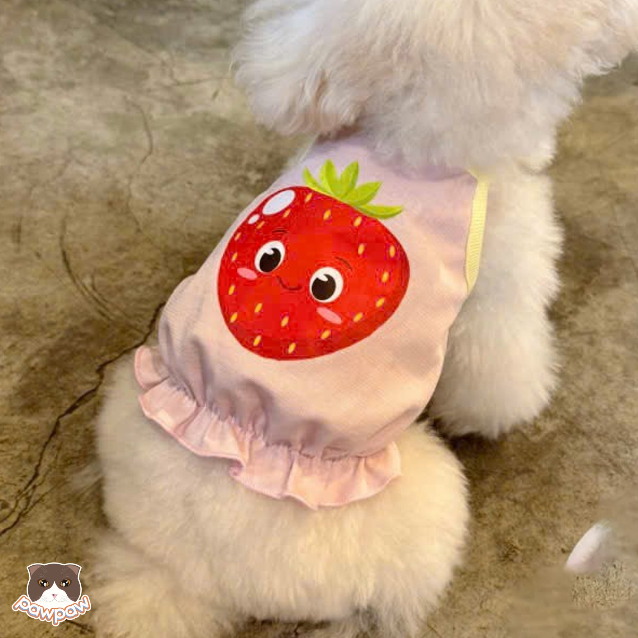  Áo dây hồng bèo trái dâu 