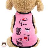  Áo hình cho chó mèo 