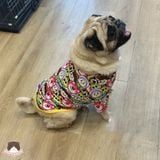  Áo poly có tay gấu hồng cho chó mèo 