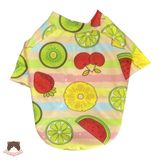  Áo thun Tropical cho chó mèo 