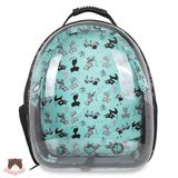  Balo trong suốt họa tiết cho chó mèo 