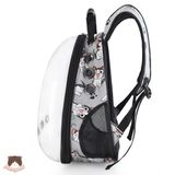  Balo trong suốt họa tiết cho chó mèo 