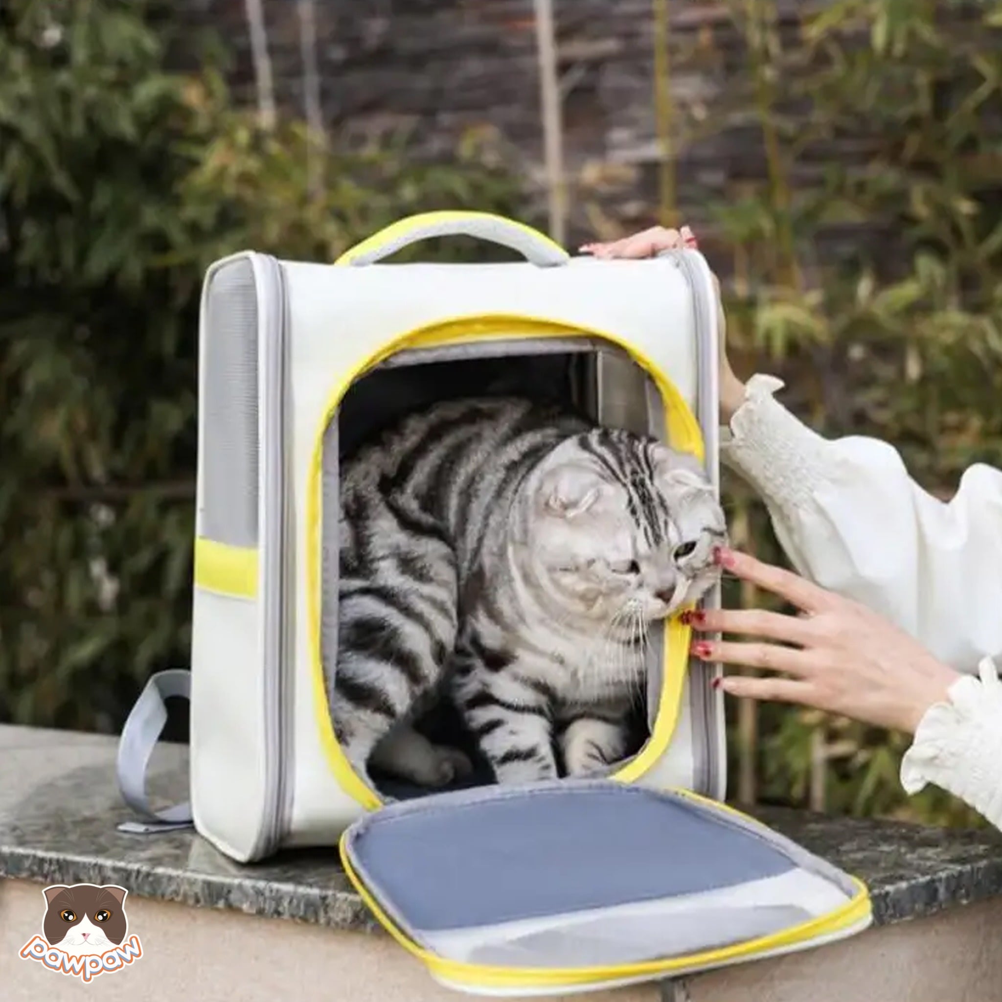  Balo vuông hình mèo Moorpet cho chó mèo 