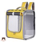  Balo vuông trong suốt cho chó mèo 