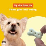  Bánh quy sữa Doggyman cho chó 