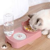  Bát ăn uống tự động hình mèo 