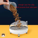  Bát ăn chống gù Inox đế nhựa cho chó mèo 