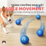  Đồ chơi bóng lăn tự động Pet Gravity ( sạc pin ) cho chó 