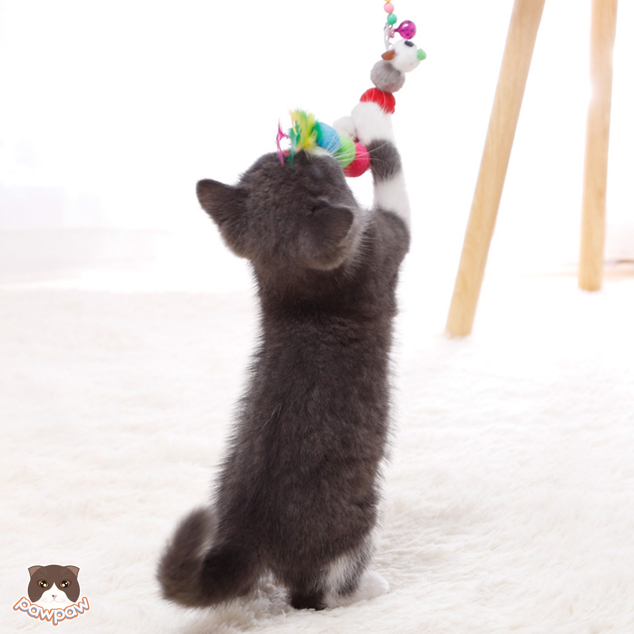  Cần câu dây thép hình sâu 7 màu cho mèo 