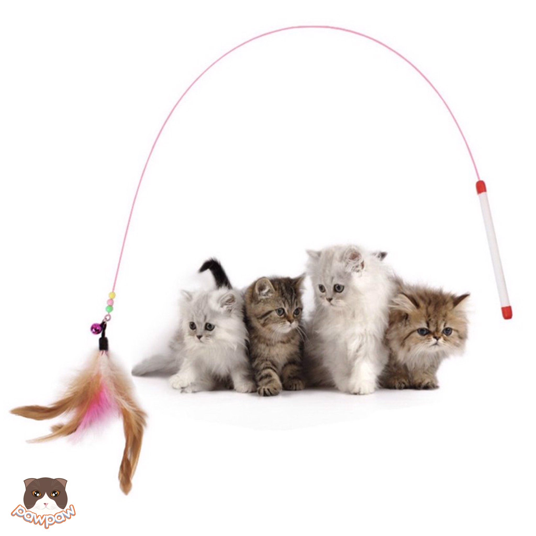  Cần câu dây thép lông ngỗng cho mèo 