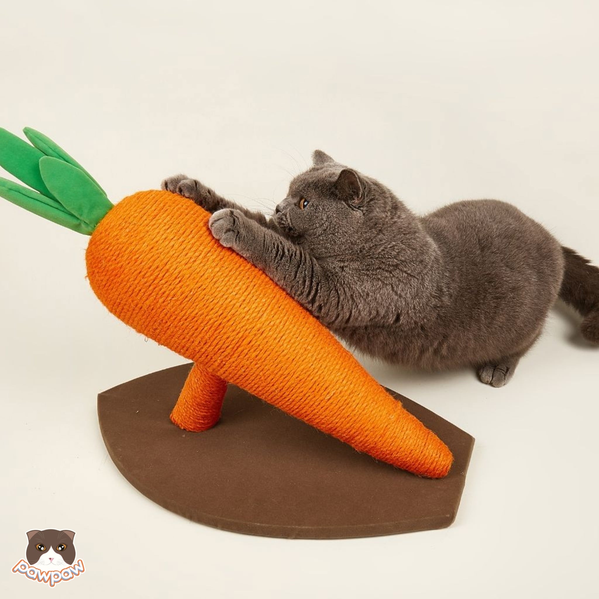 Bàn cào móng hình cà rốt cho mèo 