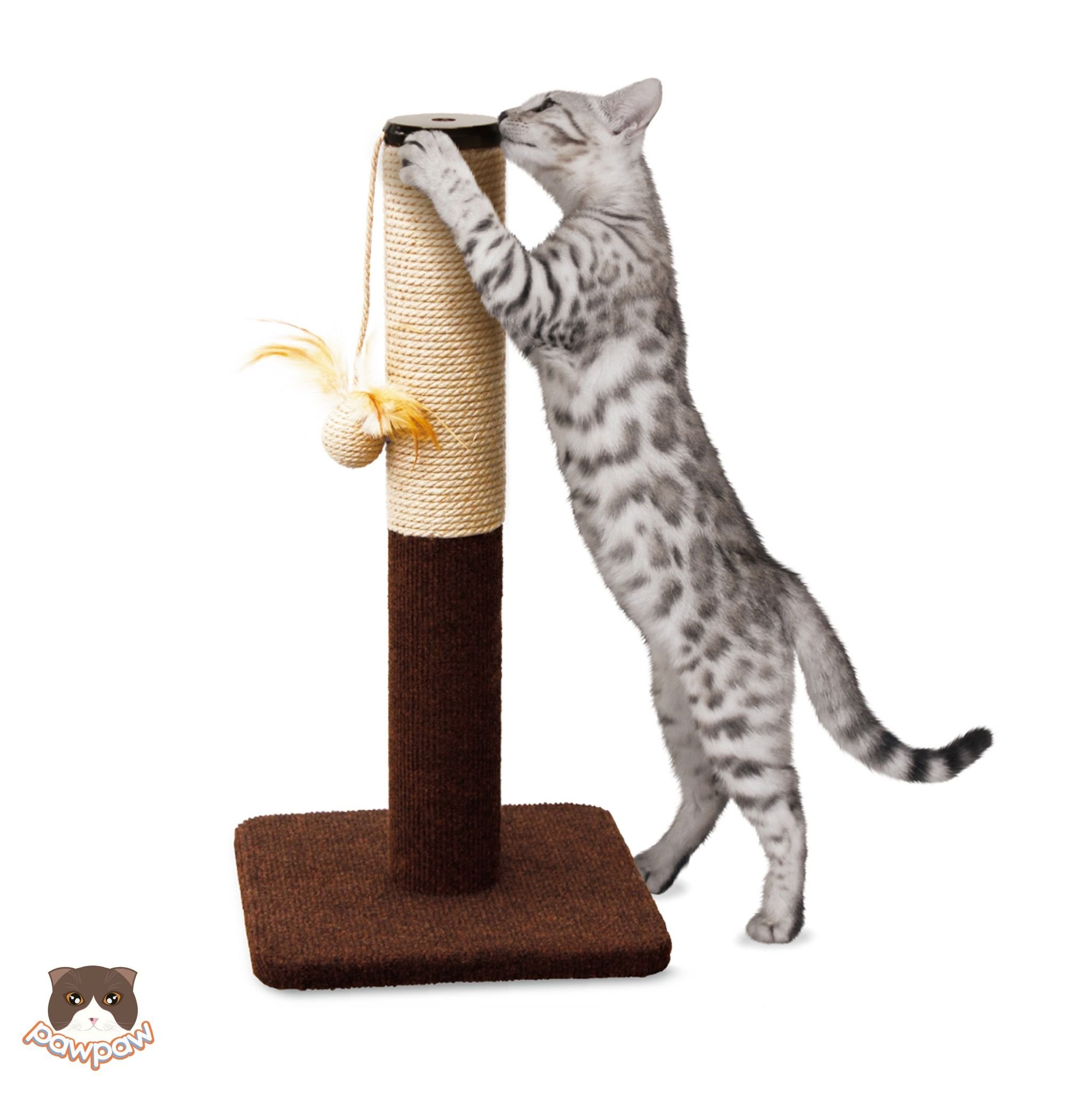  Cat tree - Trụ cào móng Cattyman cho mèo 