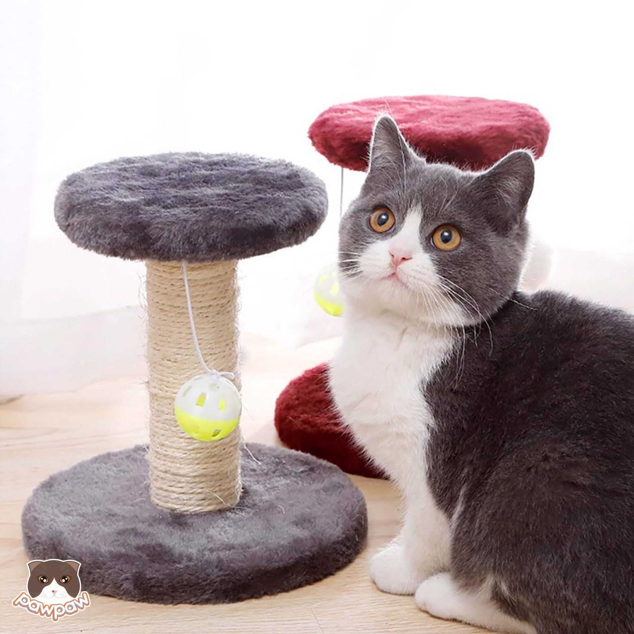 Cat tree - trụ cào móng nhỏ tròn 1 tầng cho mèo 