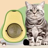 Kẹo dán tường Catnip hình quả bơ cho mèo 