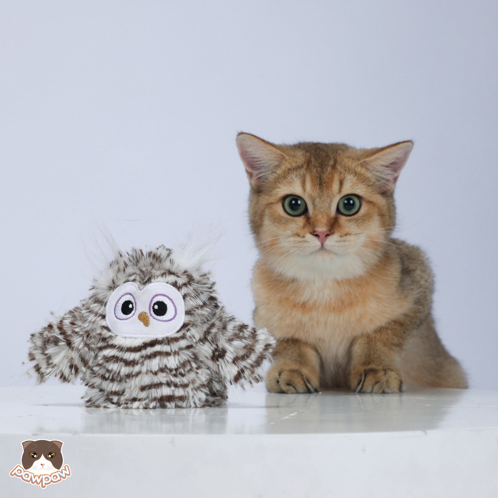  Đồ chơi cú mèo đung đưa Fofos tương tác cho mèo 