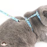  Đai số 8 kèm dây dắt Zi Chen cho chó mèo 