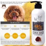  Dầu gội và xả dành cho chó lông xoăn Forcans 550ml 