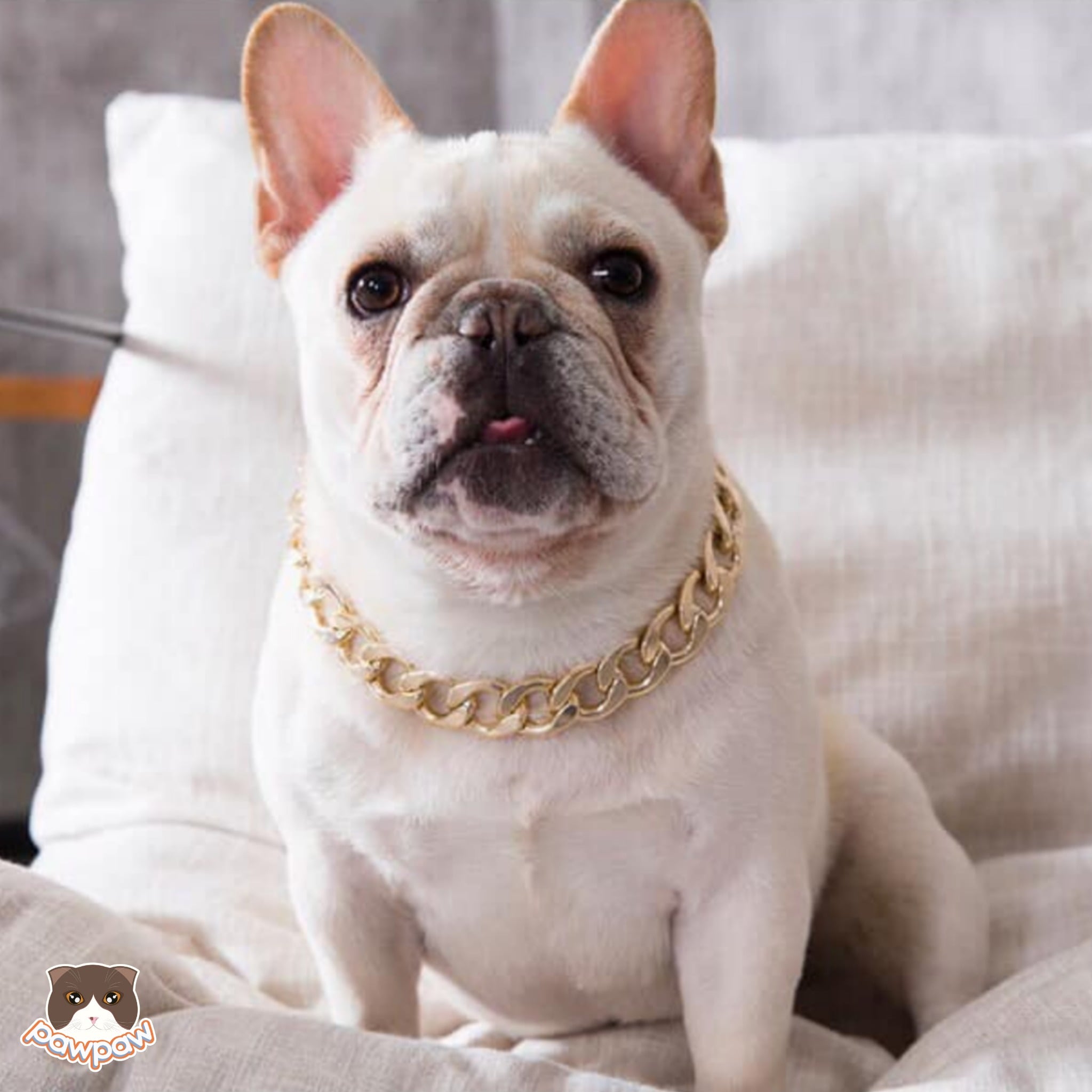  Dây chuyền vàng cho chó  mèo 