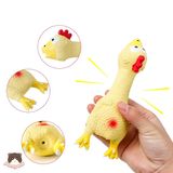  Đồ chơi con gà mini cho chó 
