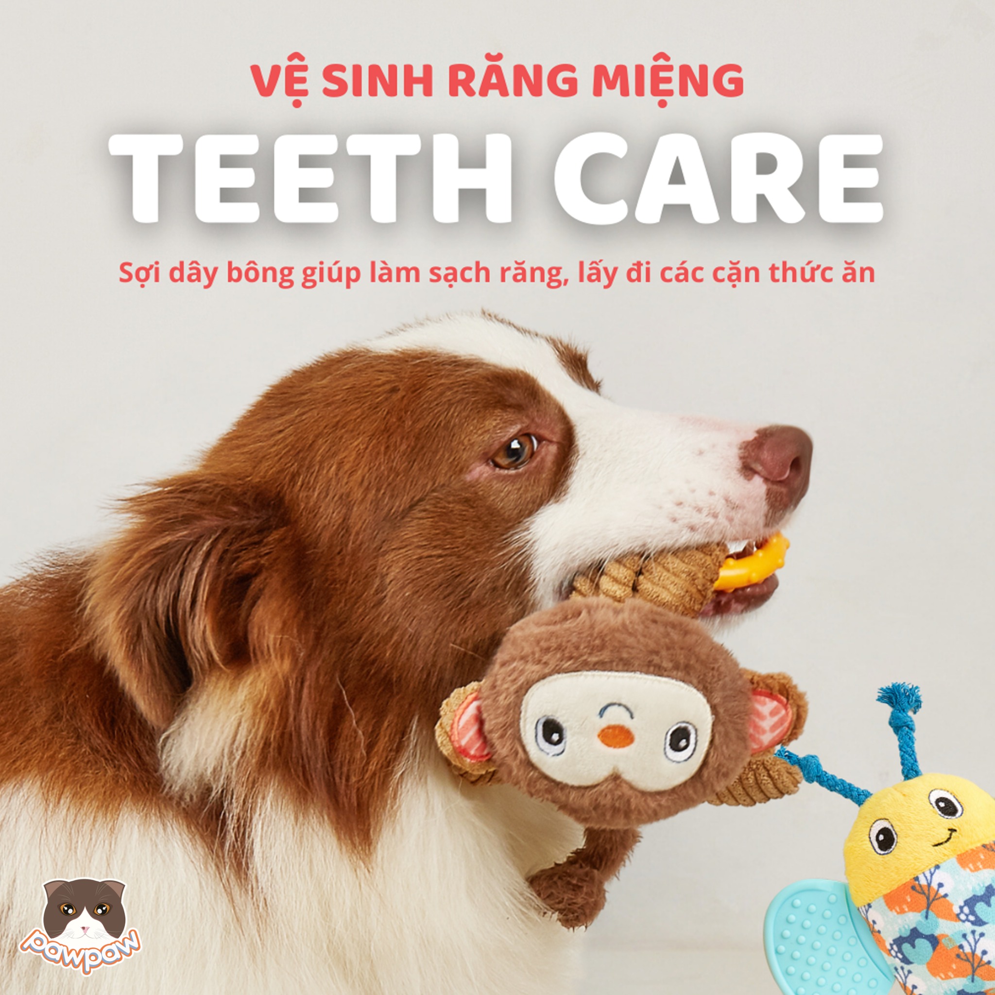  Đồ chơi FOFOS hình khỉ cho chó 